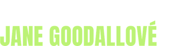Útulek pro záchranu šimpanzů Jane Goodallové